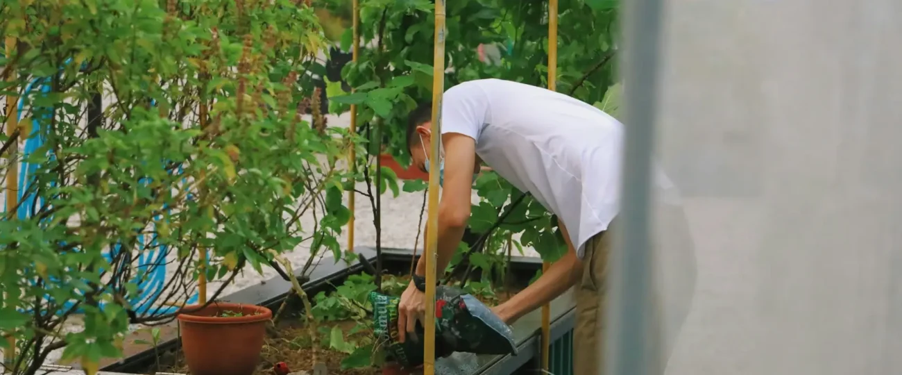 Jardines Verticales en Panamá: Transformando Ciudades en Oasis Urbanos