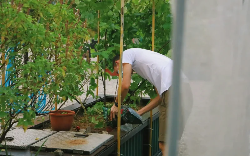 Jardines Verticales en Panamá: Transformando Ciudades en Oasis Urbanos